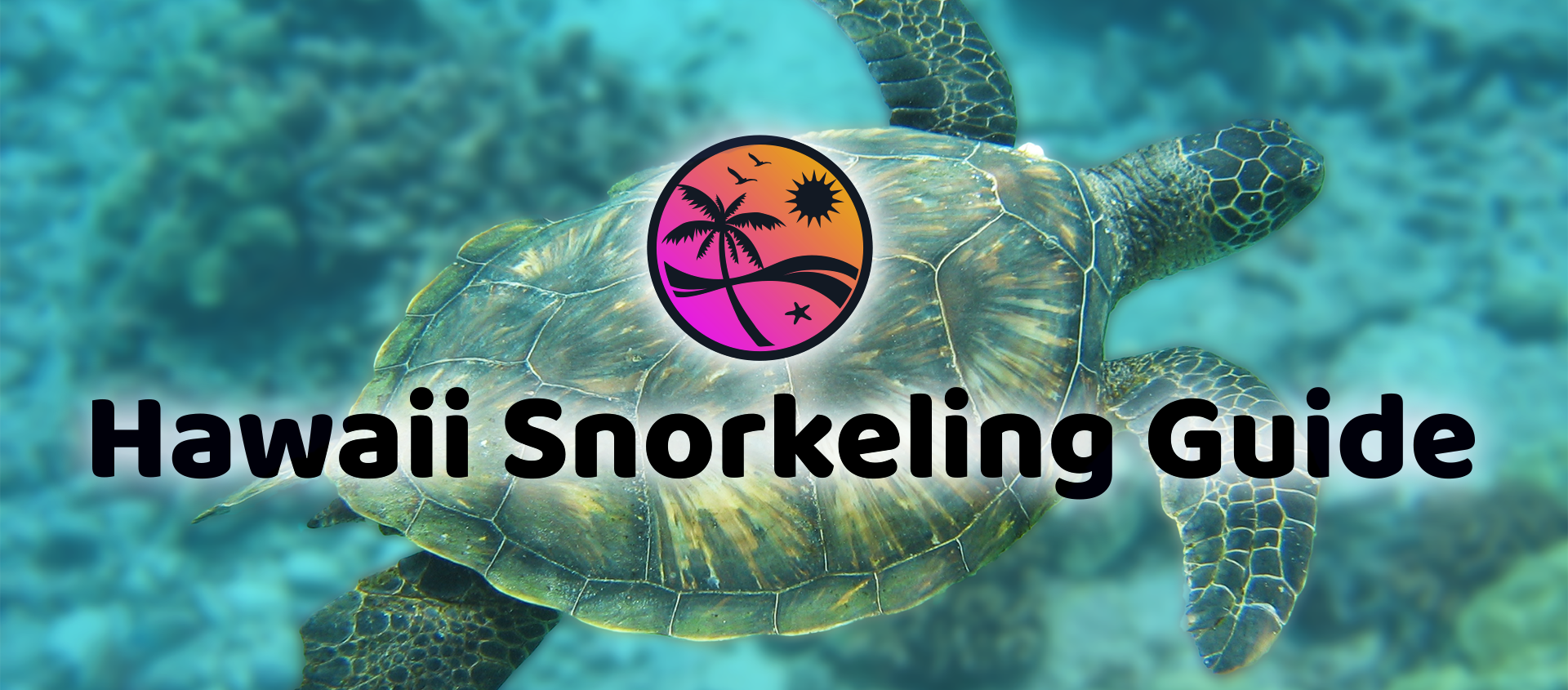 Hawaii Snorkeling Secrets! The Complete Guide to Snorkeling in Hawaii!